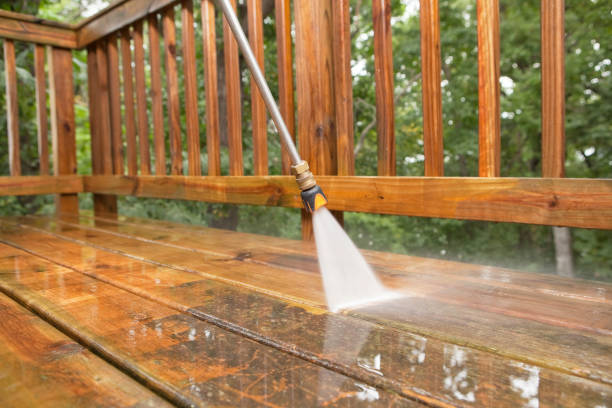 Best Solar Panel Cleaning  in Clifton Springs, NY
